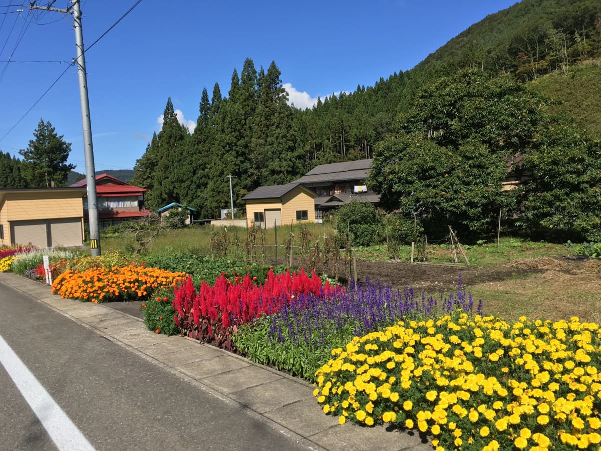 あさおか音楽教室 電子オルガン 東浅川教室のサムネイル画像 3