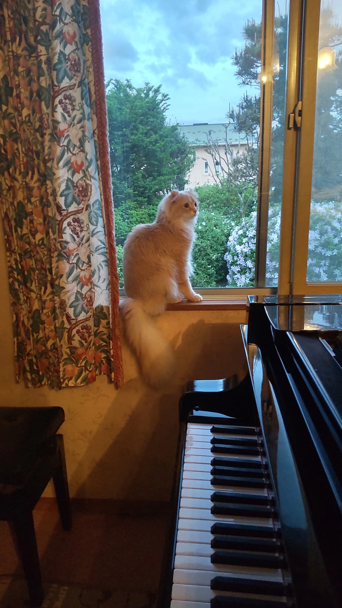 サムネイル画像 3