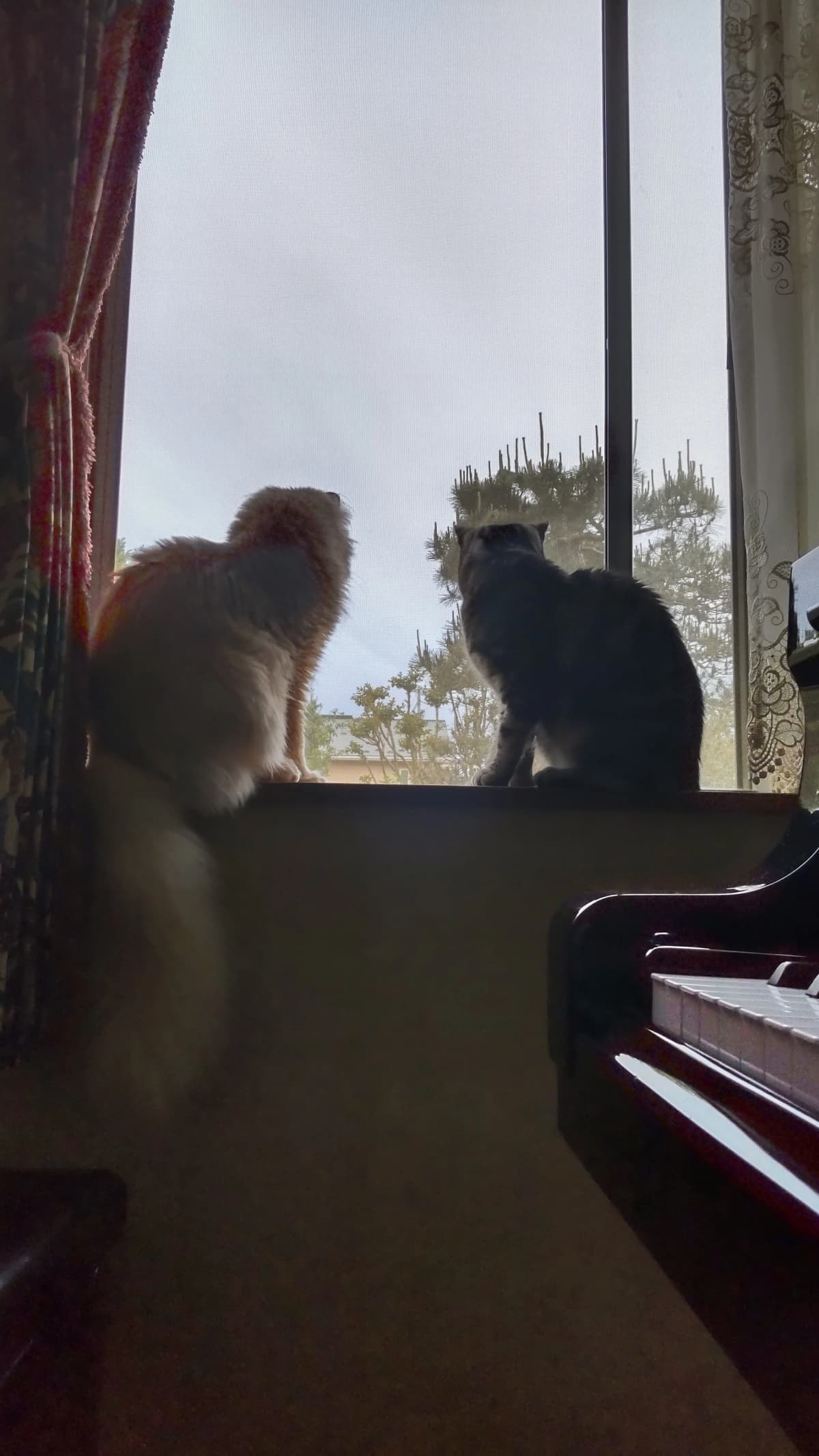 サムネイル画像 4