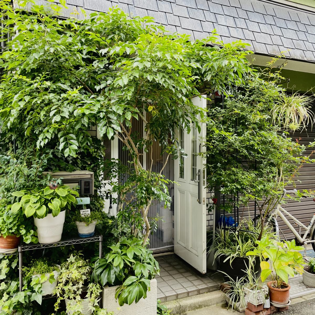 サムネイル画像 3