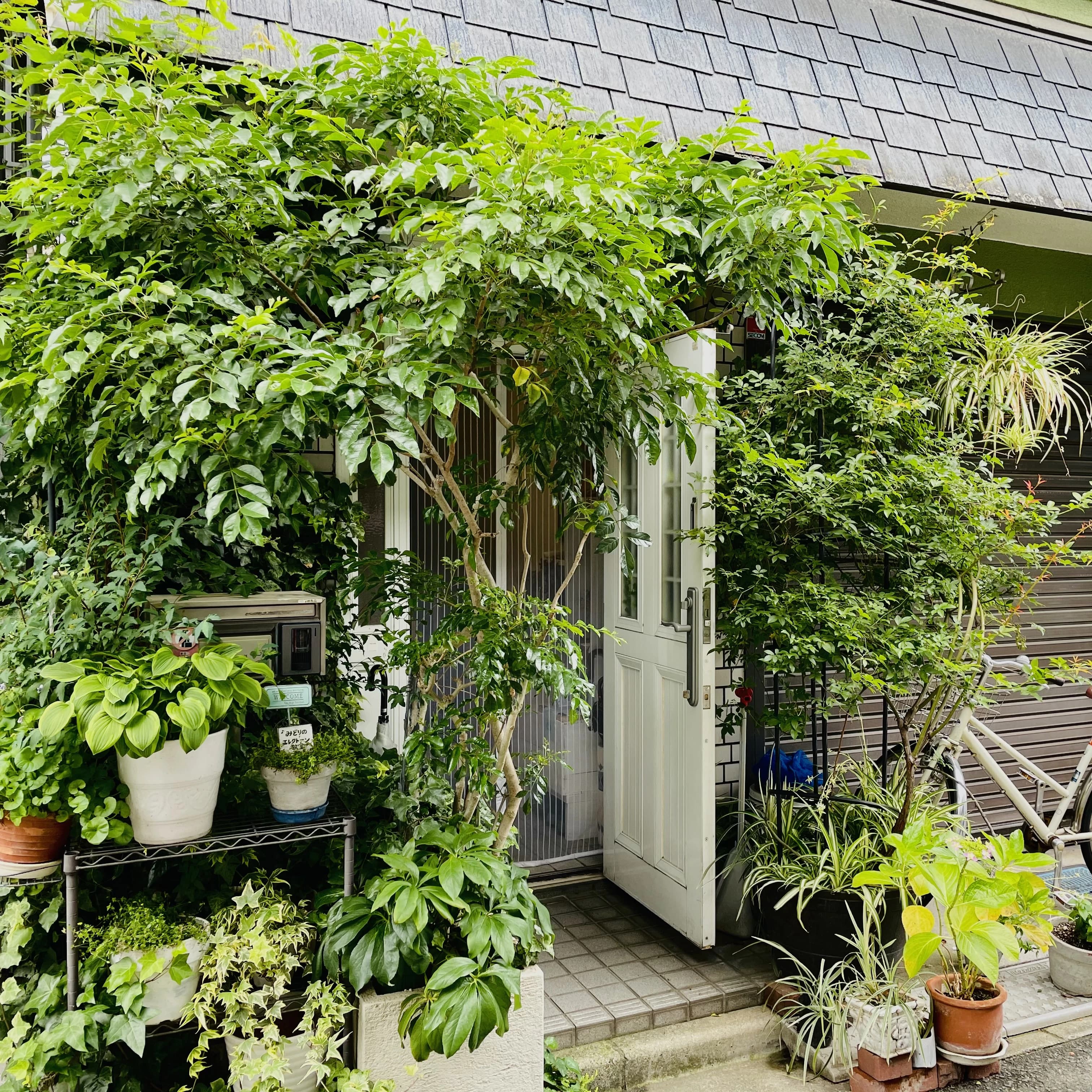 みどりのエレクトーン教室 深野教室のサムネイル画像 2