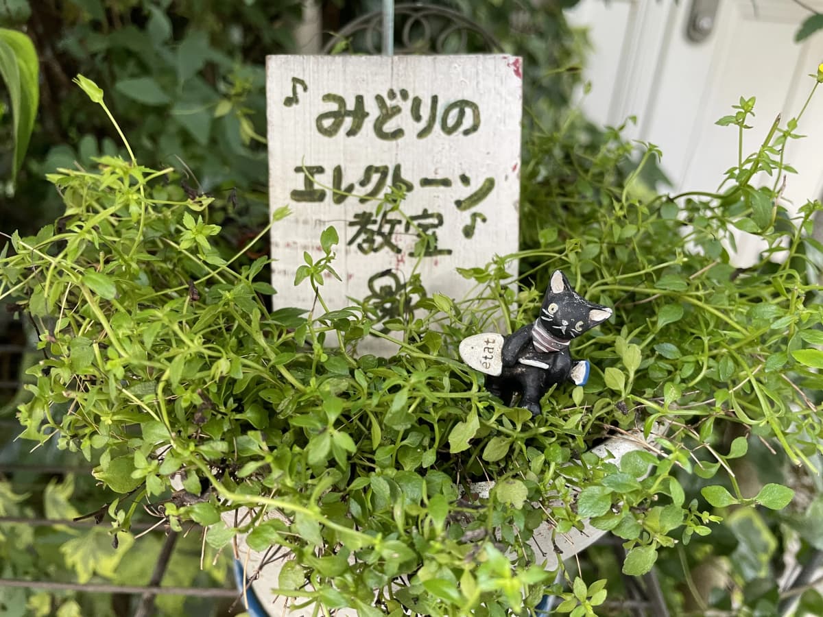 サムネイル画像 5