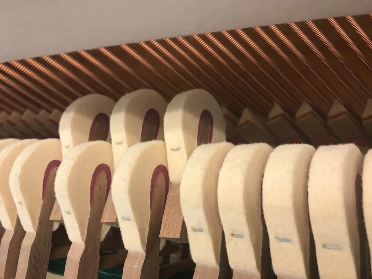 サムネイル画像 6