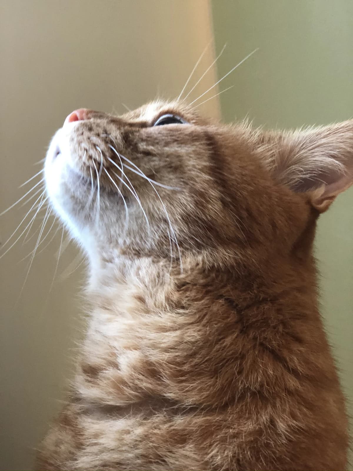 江口ピアノ･エレクトーン教室 高良内町教室 画像 27