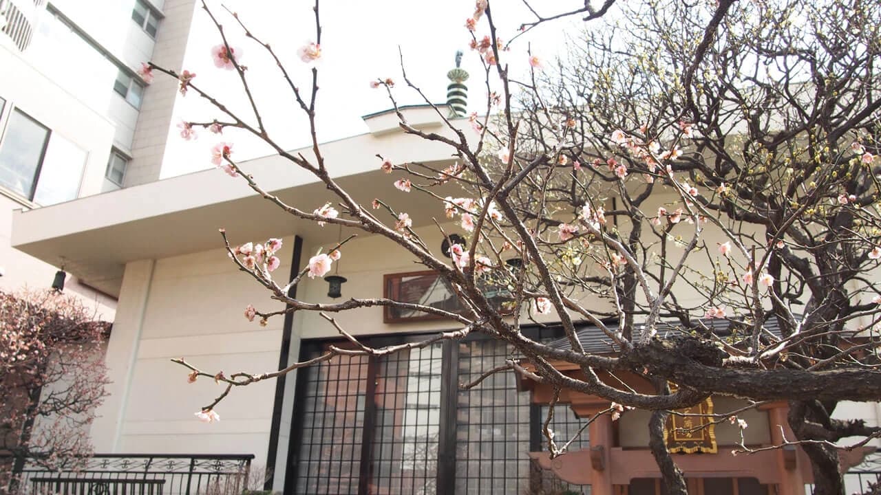 梅林寺 フルート 三ノ輪教室のサムネイル画像 5