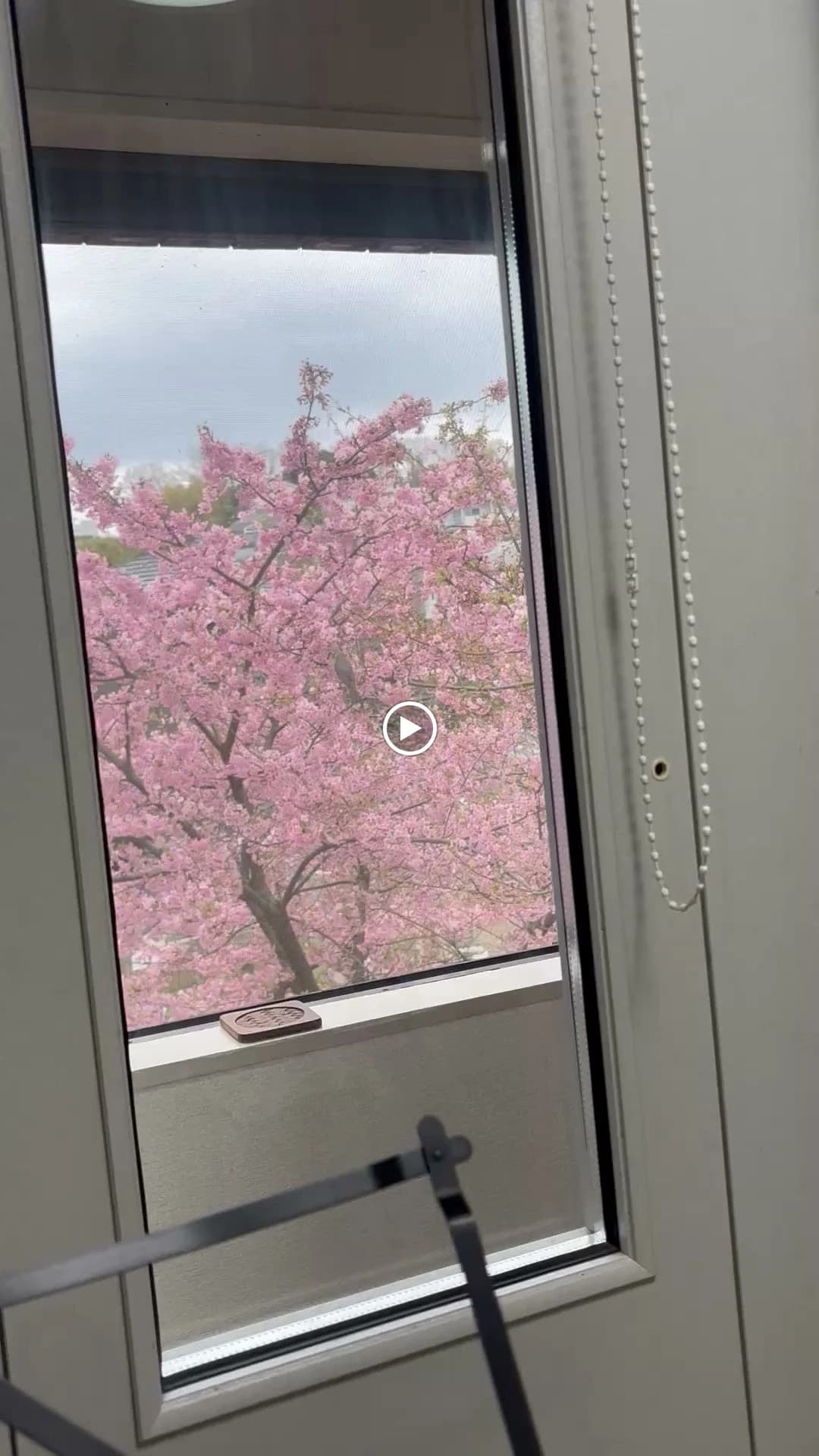 サムネイル画像 5