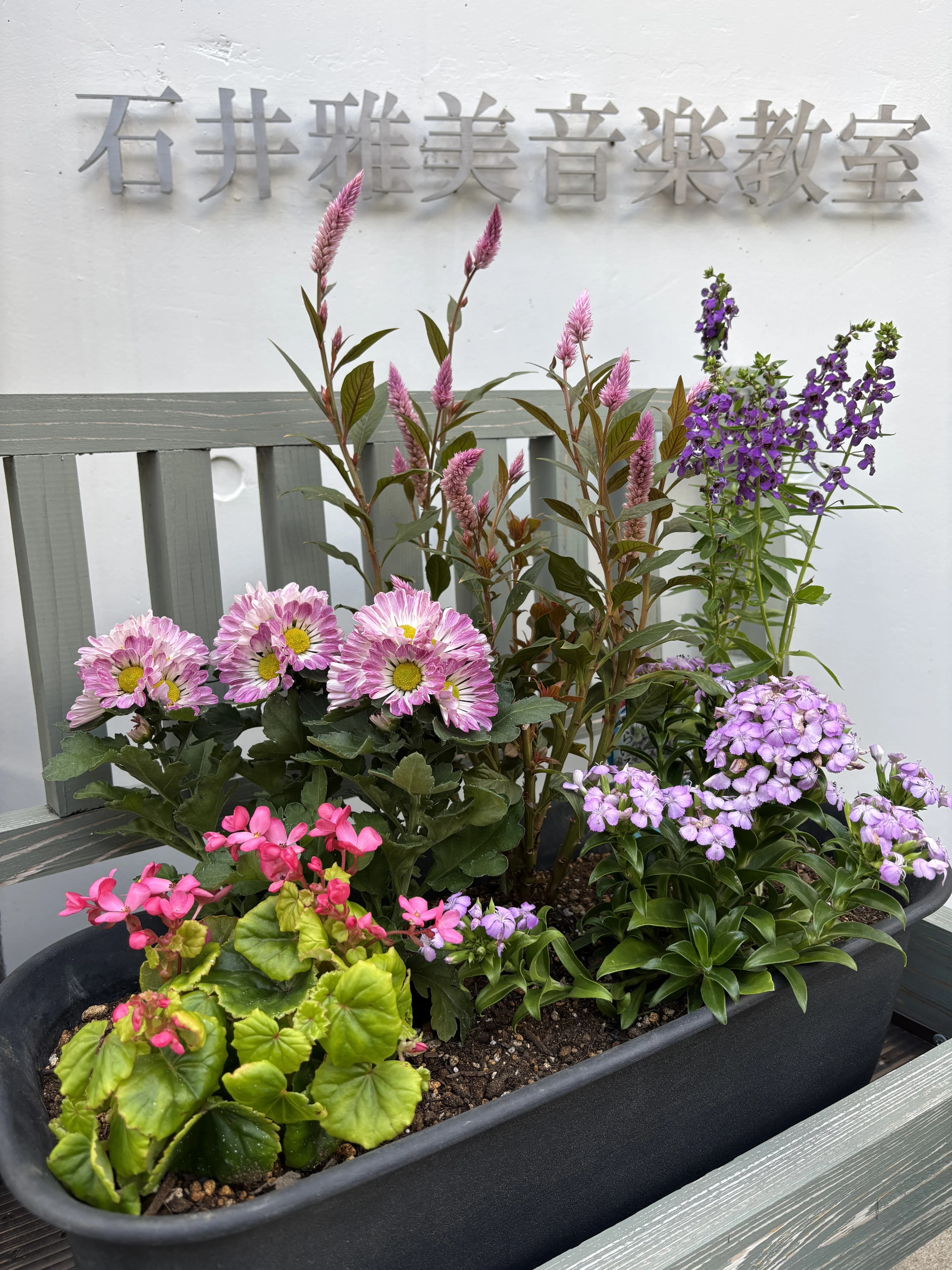 石井雅美音楽教室 フルート 西堀教室のサムネイル画像 3