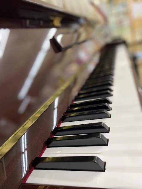 坂野楽器 フルート 浅野馬東教室のサムネイル画像 2