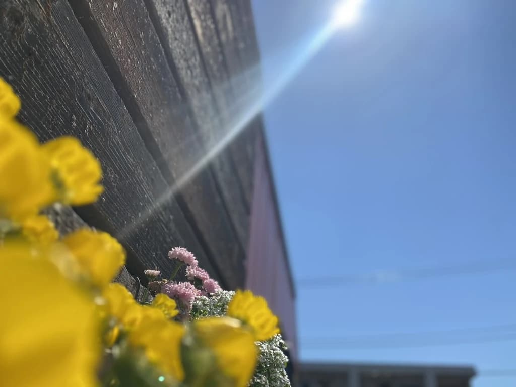 MUSIC LA FESTA フルート 鳥谷教室のメイン画像