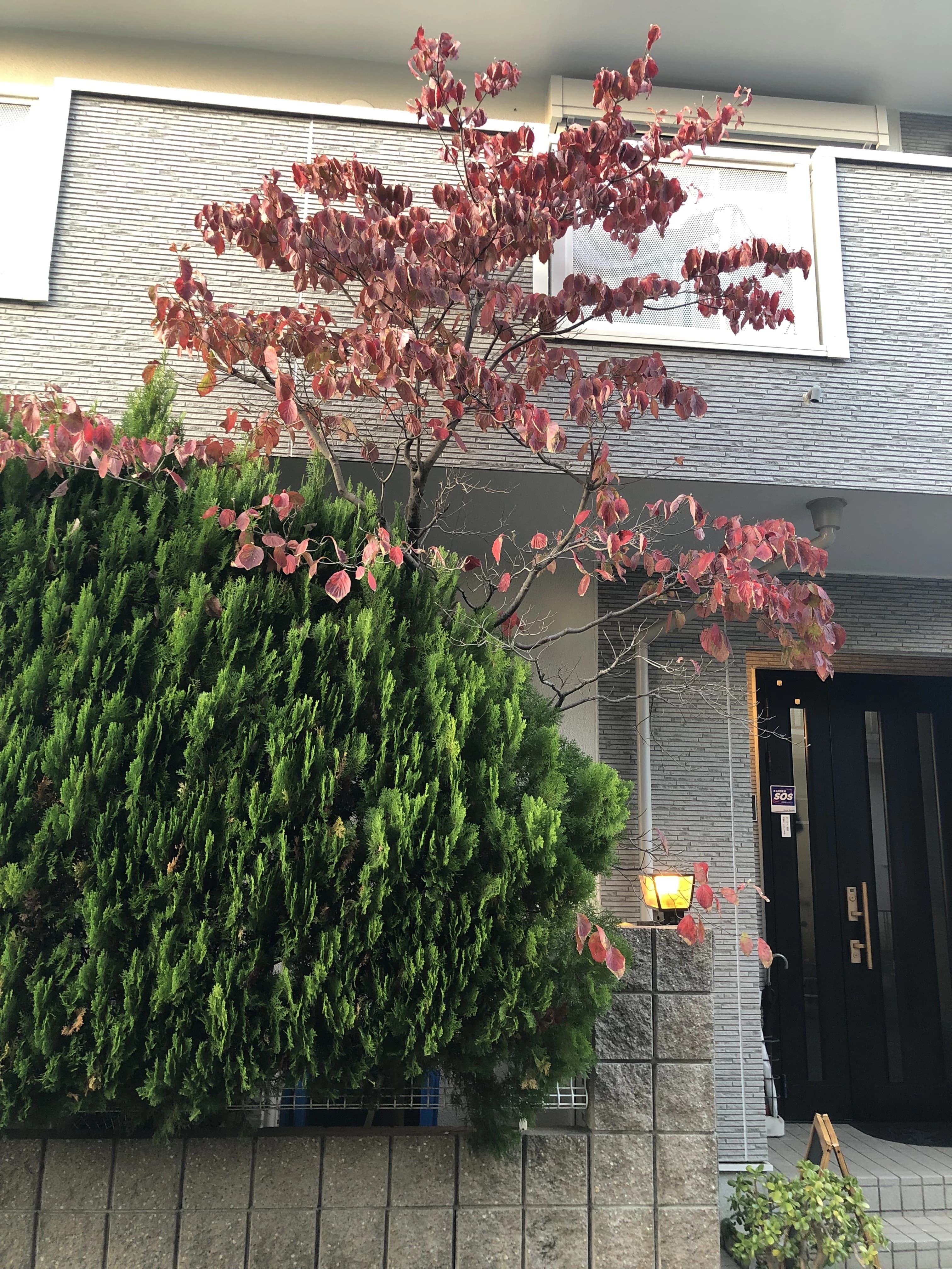 勢志音楽教室 フルート 千里園教室のサムネイル画像 3