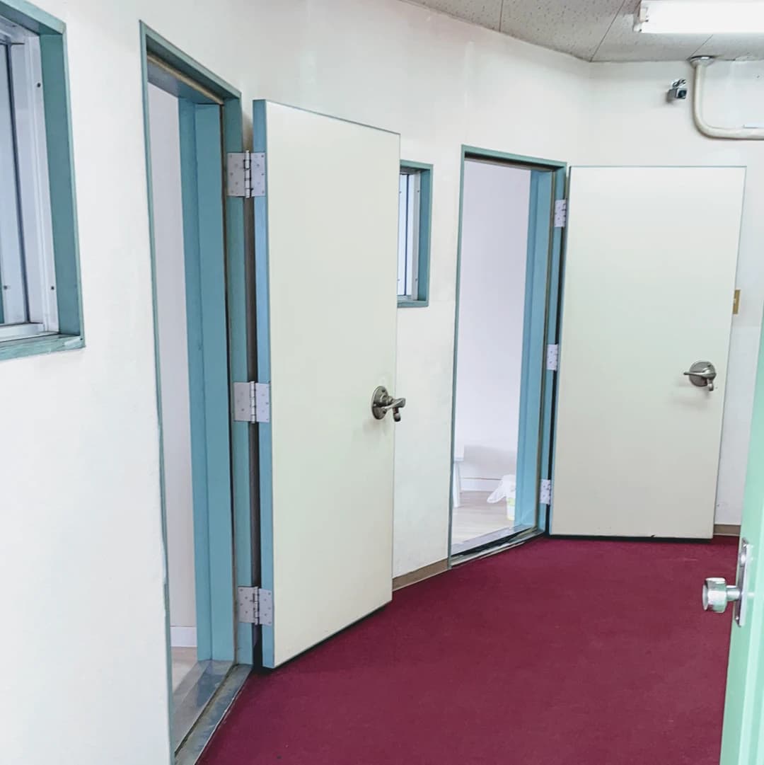 かわかみ音楽教室 フルート 正雀教室のメイン画像