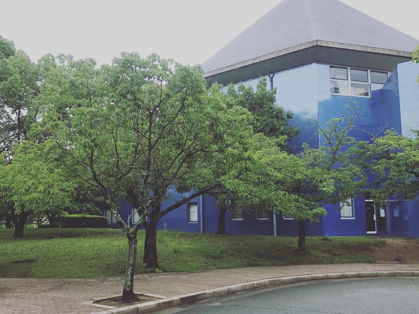 マーブル音楽教室 フルート 野口教室(本校)のメイン画像