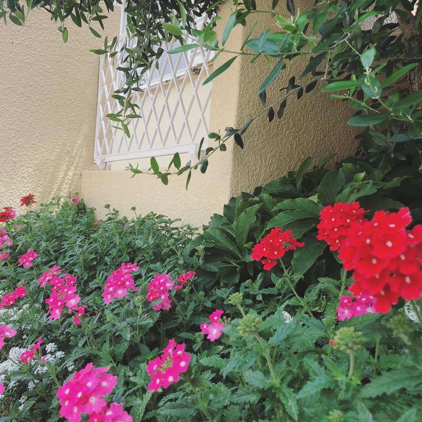 マーブル音楽教室 フルート 野口教室(本校)のサムネイル画像 2