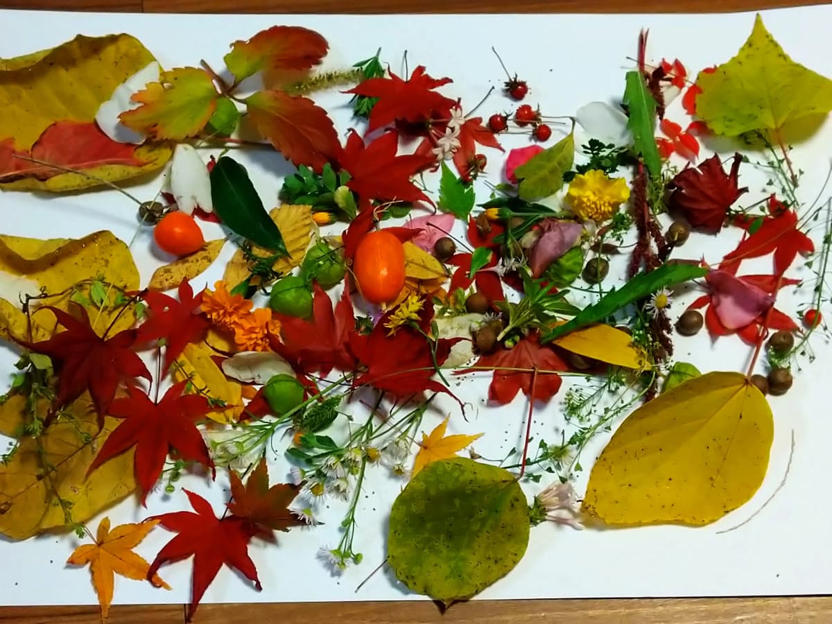 サムネイル画像 4