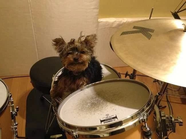 サムネイル画像 3