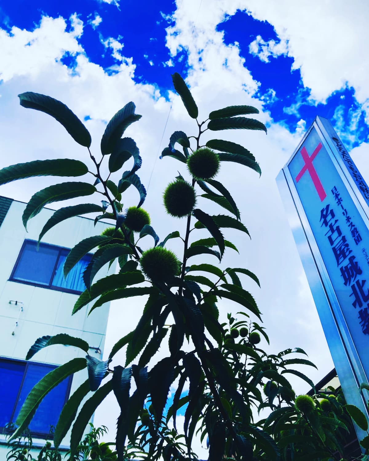 ワンダラー音楽教室 ドラム 東水切町教室 画像 18