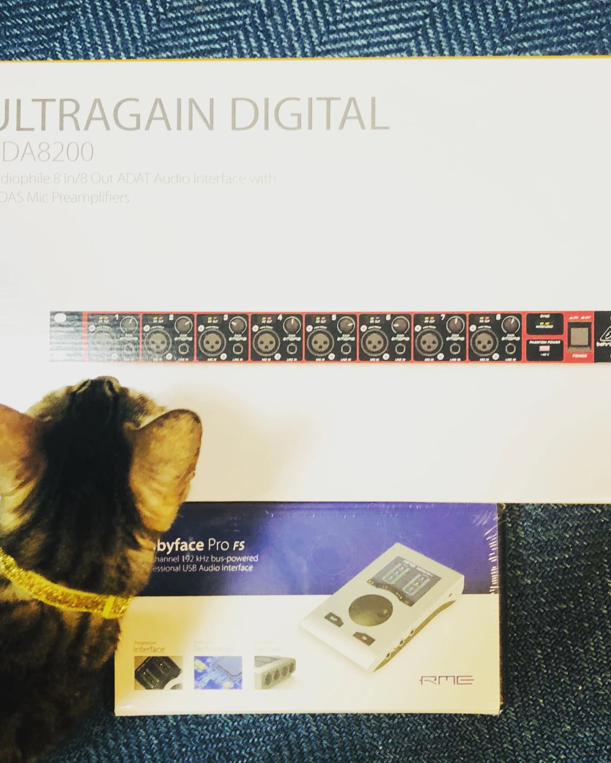 ワンダラー音楽教室 ドラム 東水切町教室 画像 29