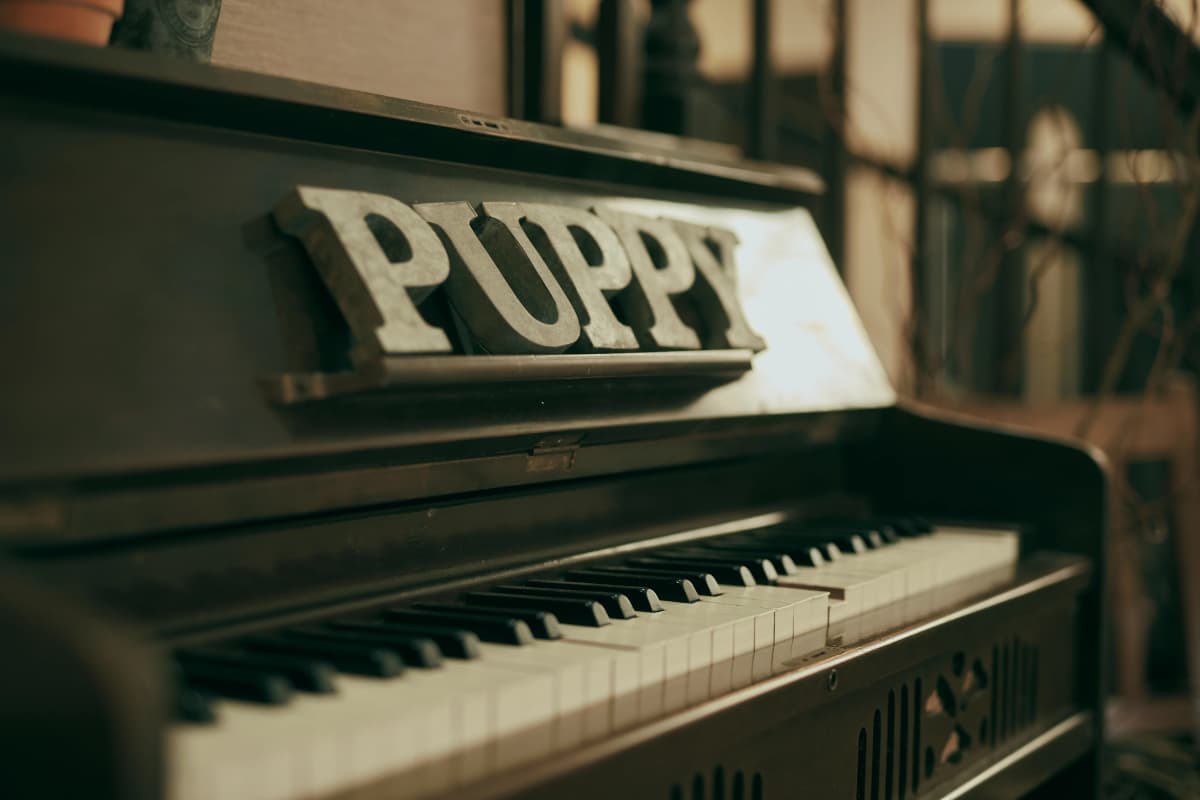 サムネイル画像 4