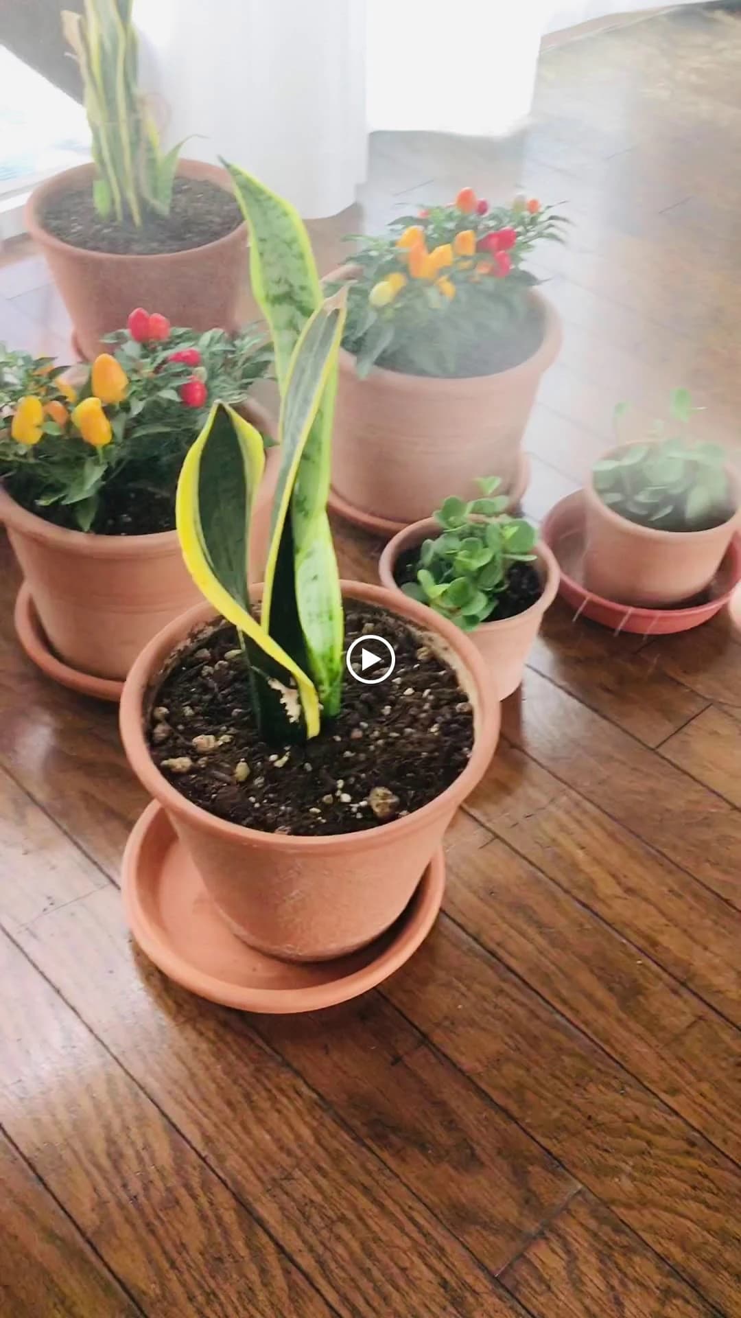 クロスポート ドラム 日の出町教室 画像 100