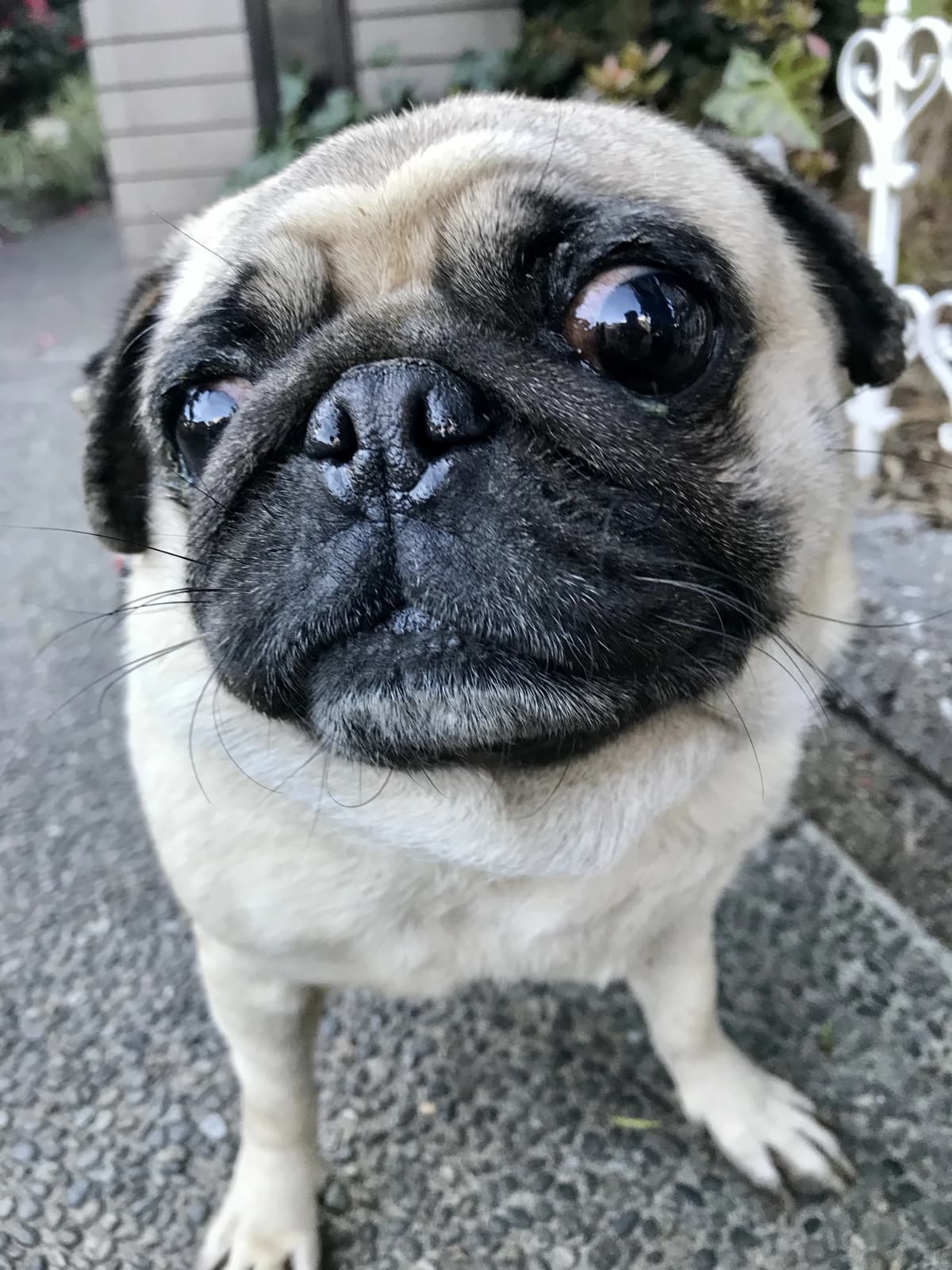 クロスポート ドラム 日の出町教室 画像 34