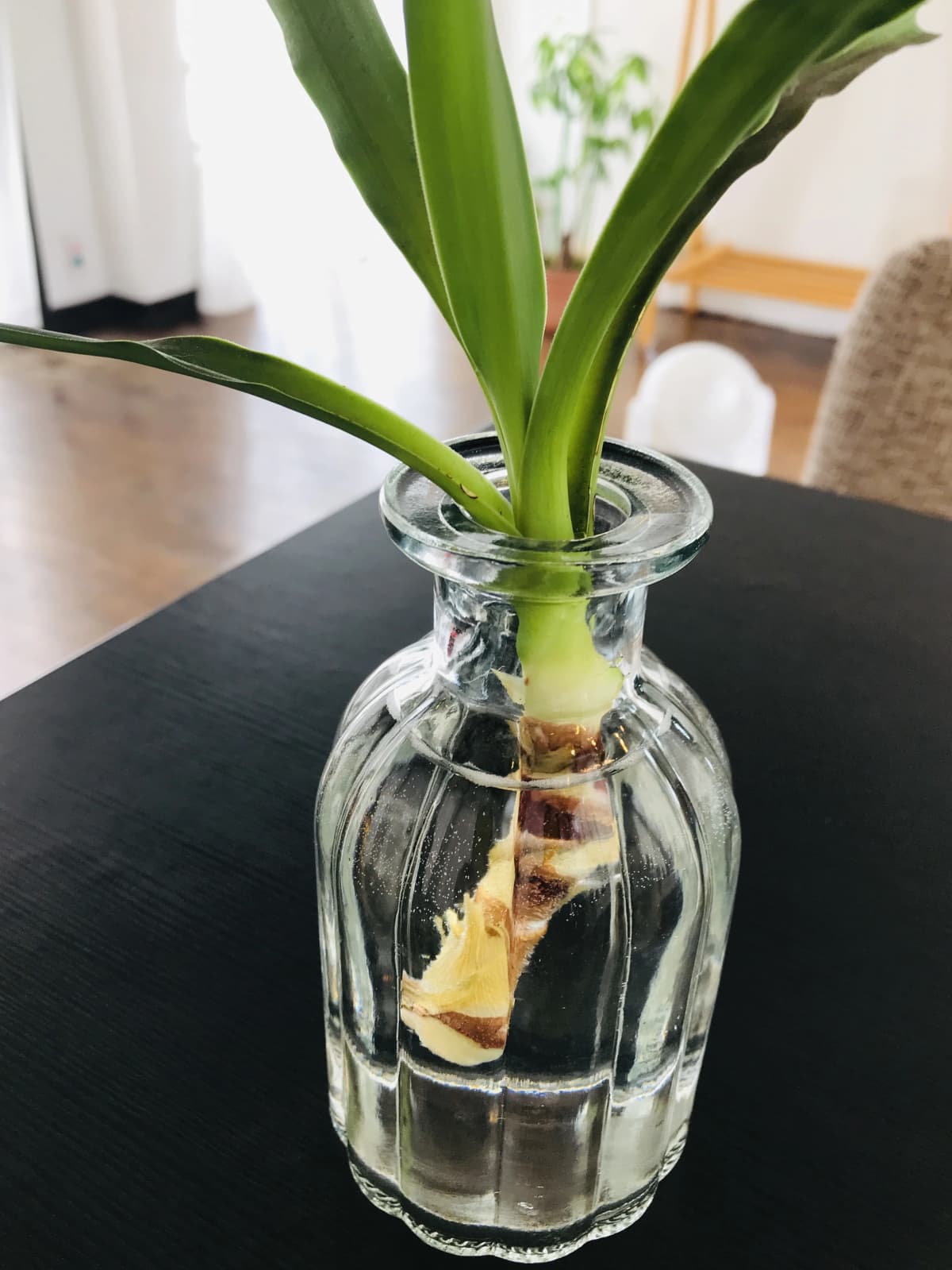 クロスポート ドラム 日の出町教室 画像 41