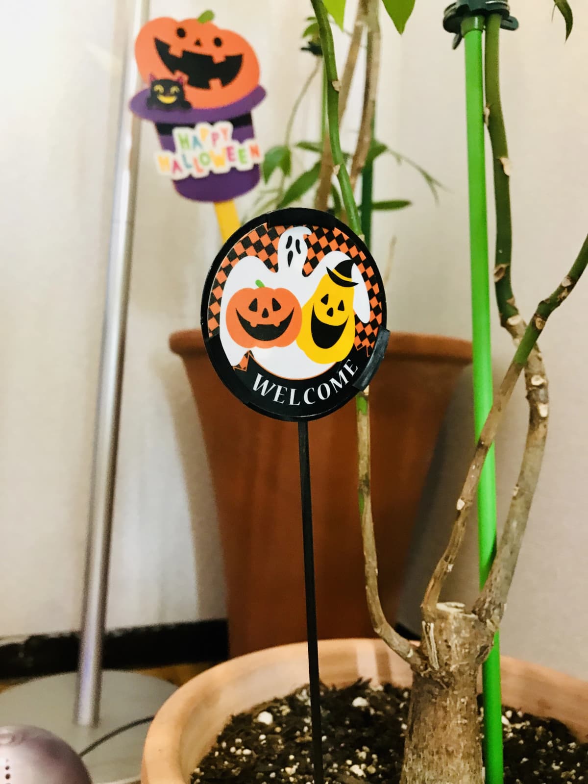 クロスポート ドラム 日の出町教室 画像 43