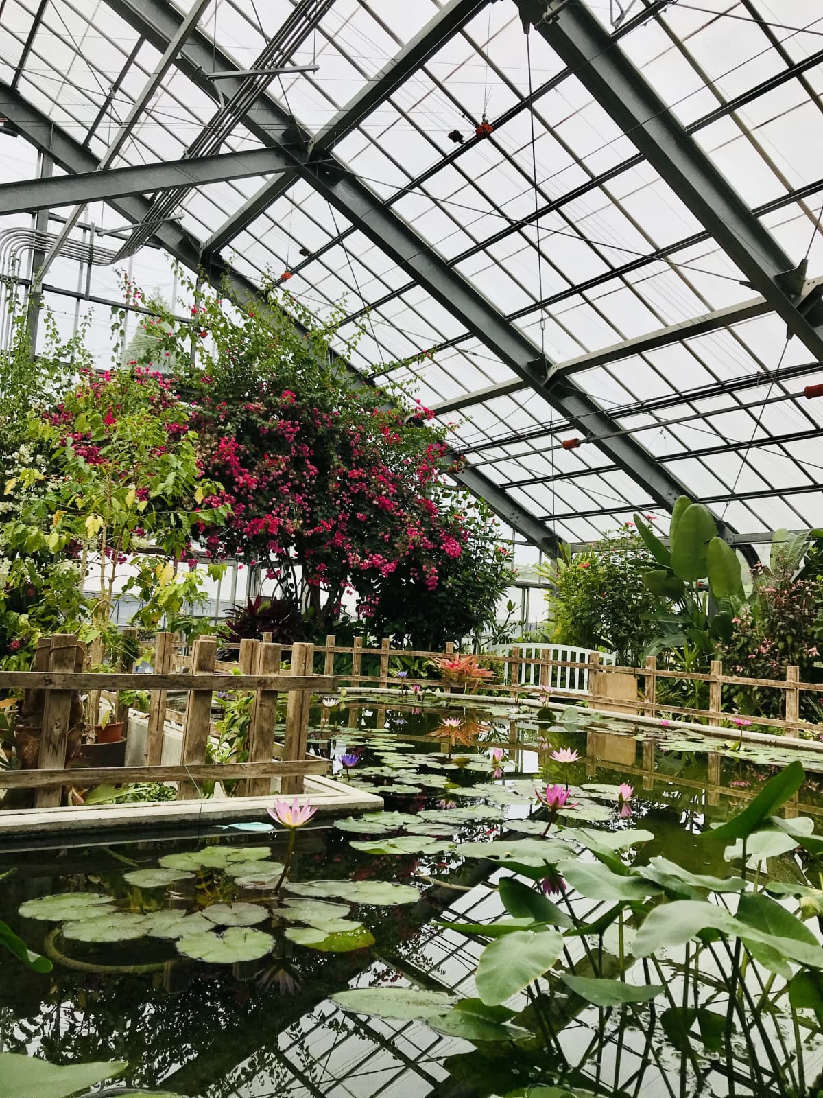 クロスポート ドラム 日の出町教室 画像 80