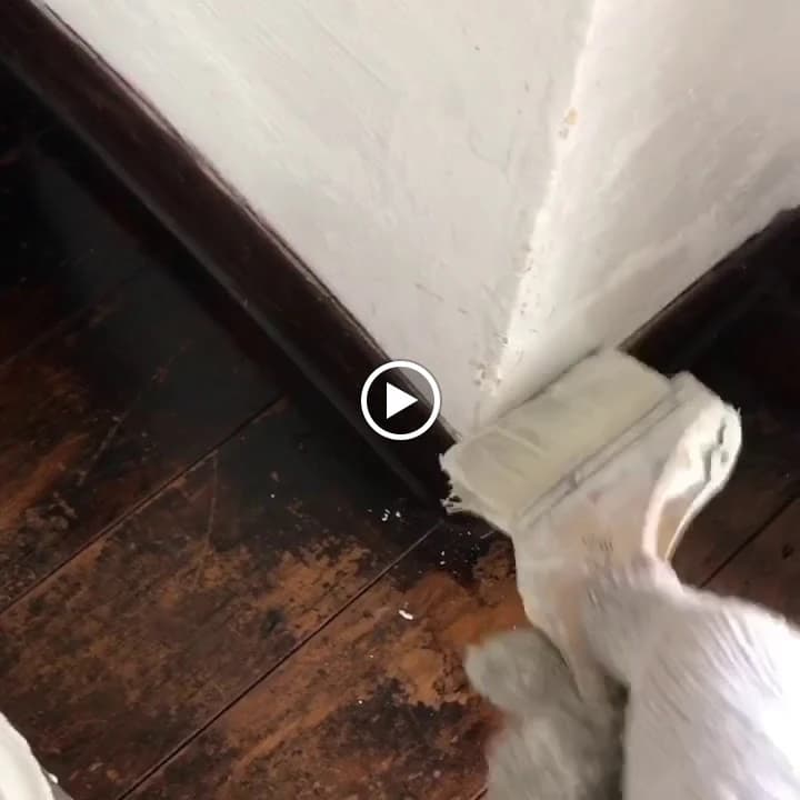 クロスポート ドラム 日の出町教室 画像 88