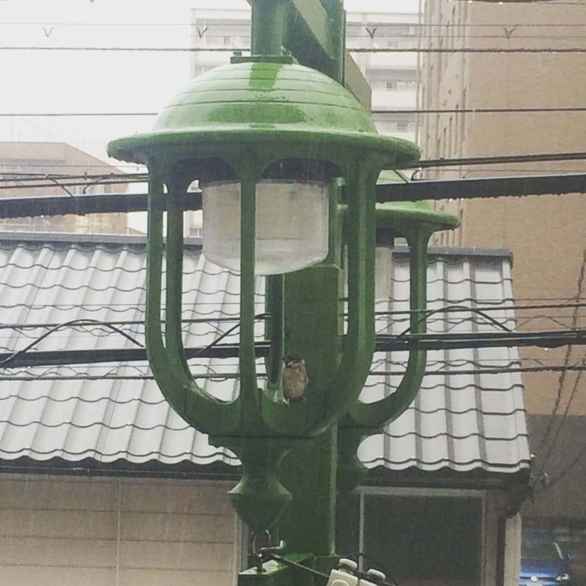 サムネイル画像 5