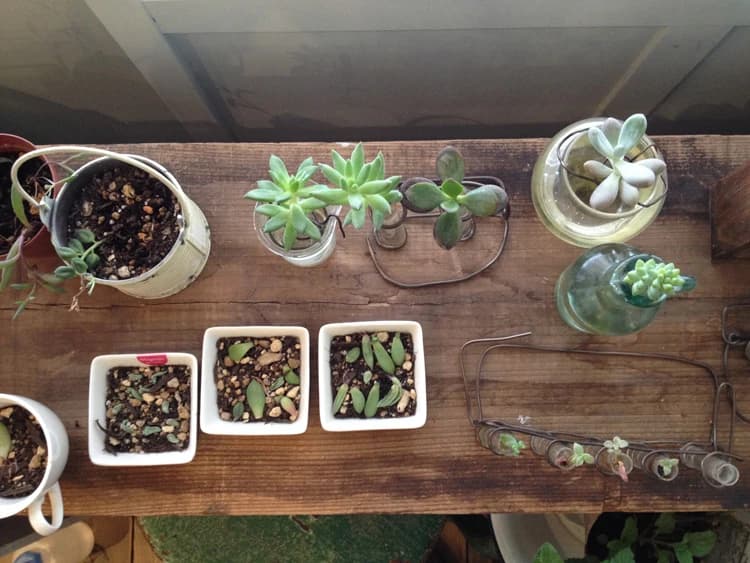 箱 和楽器 染地教室 画像 18