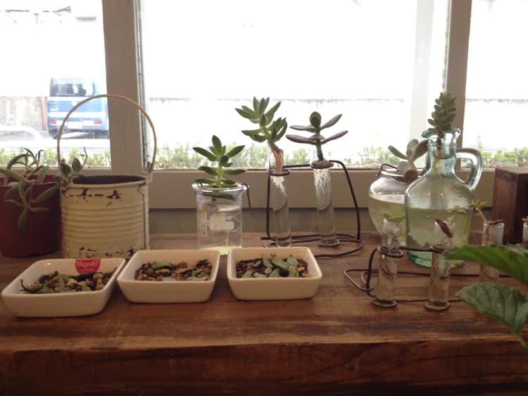 箱 和楽器 染地教室 画像 23