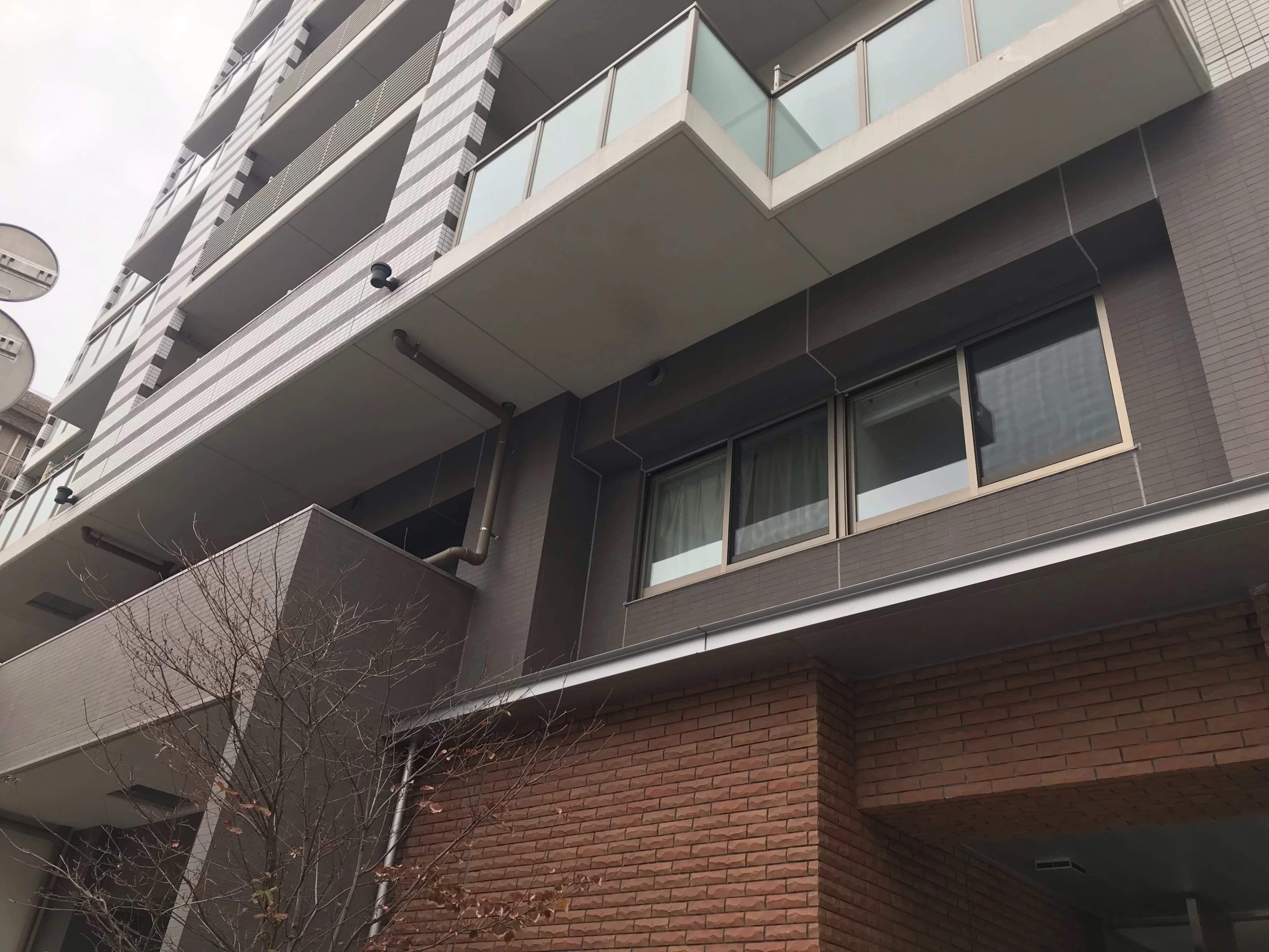 TONE伊勢佐木ぴあの教室 和楽器 関内教室のサムネイル画像 3