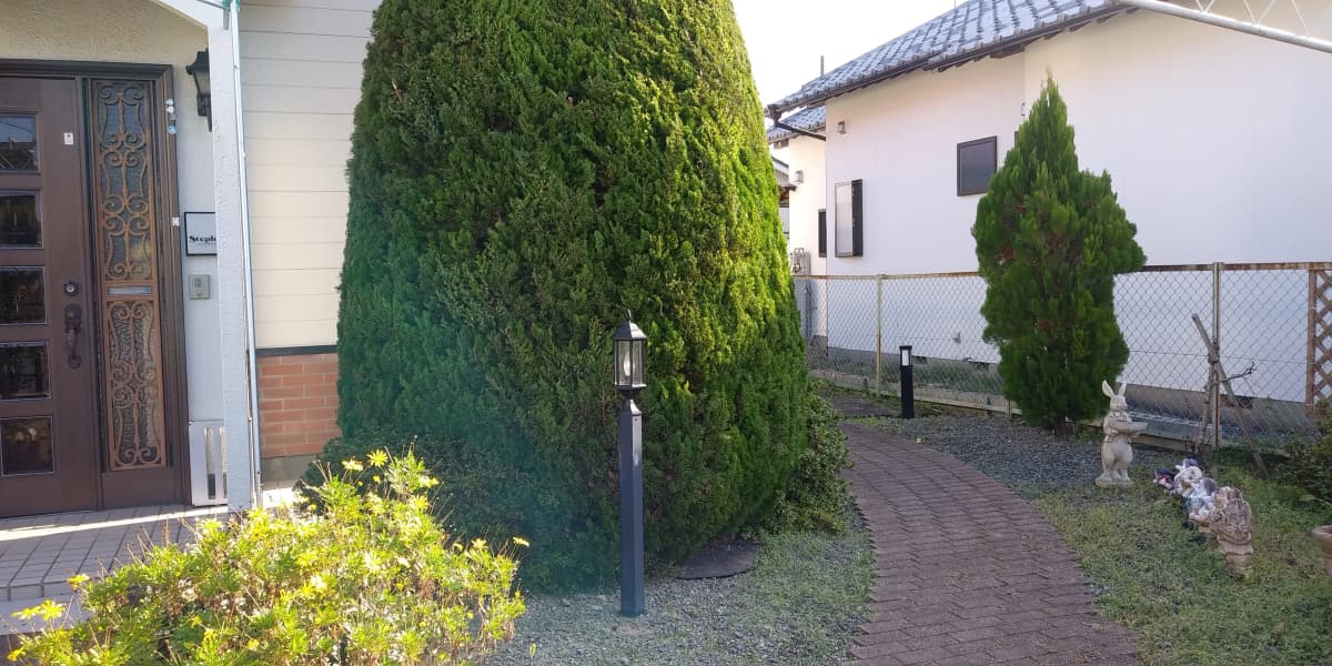 サムネイル画像 3