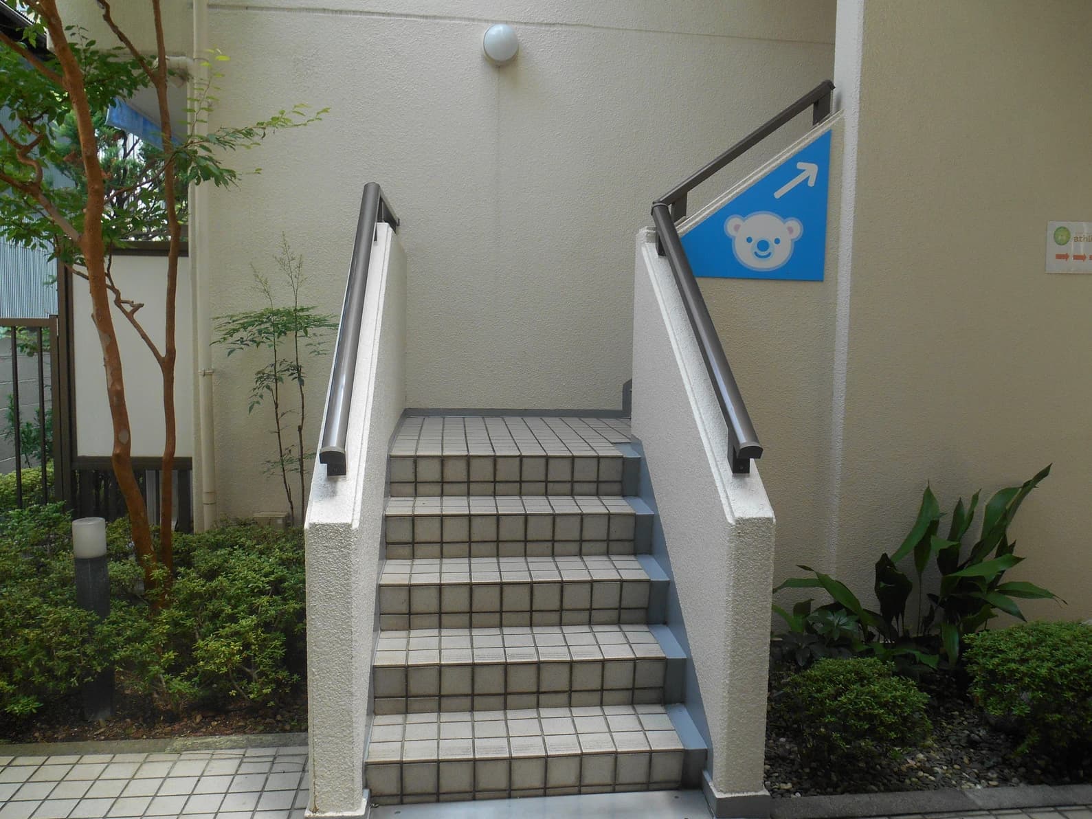 幼児教室コペル 幼児コース 国立教室 画像 20