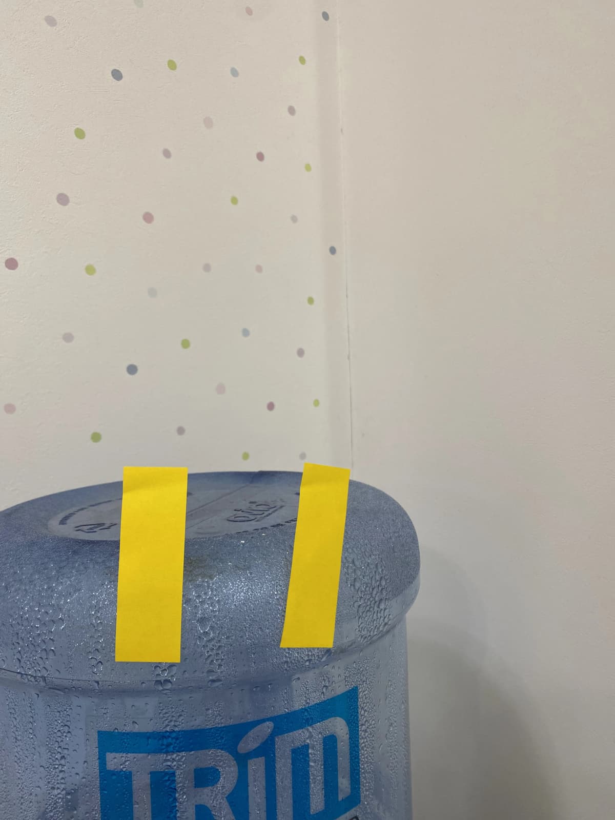 ラボ・パーティ湖西市白須賀教室 画像 17