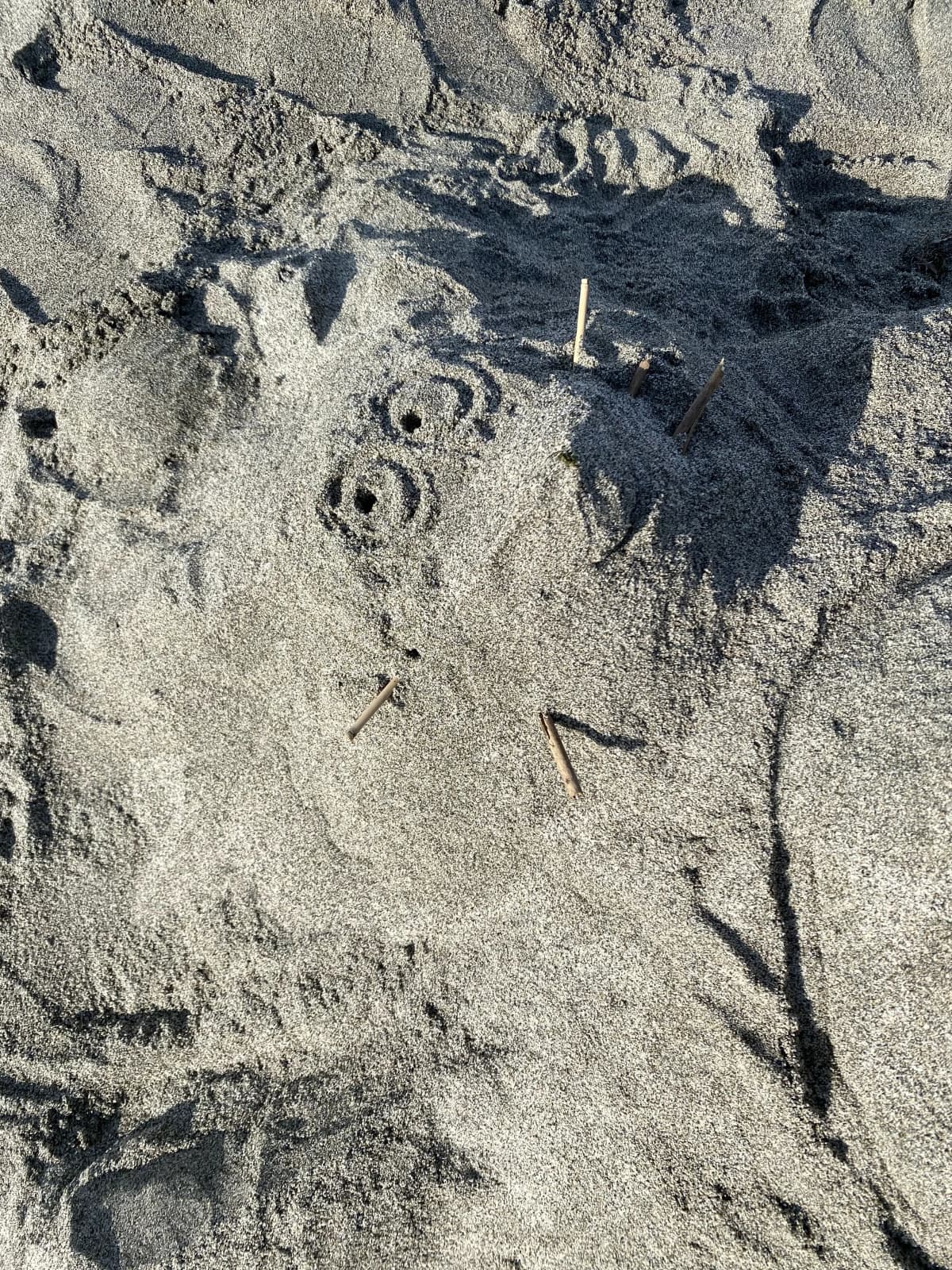 ラボ・パーティ湖西市白須賀教室 画像 22