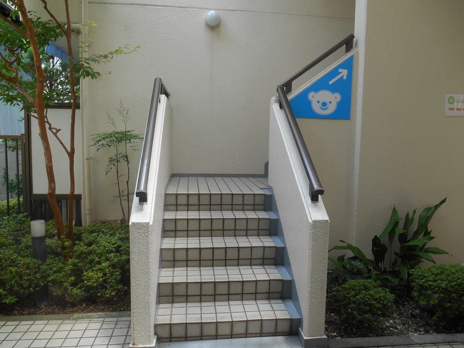 幼児教室コペル 小学生コース 国立教室 画像 19