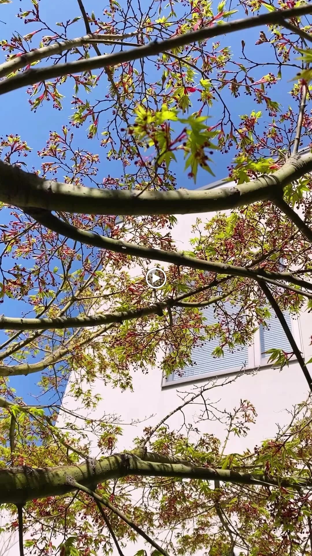 サムネイル画像 5