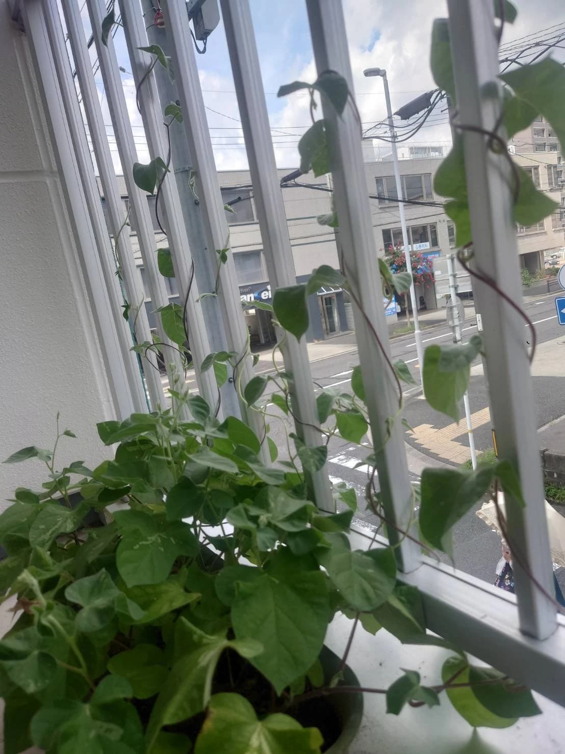 幼児からのさんすう×ことば／シナプス 筒井教室のサムネイル画像 4