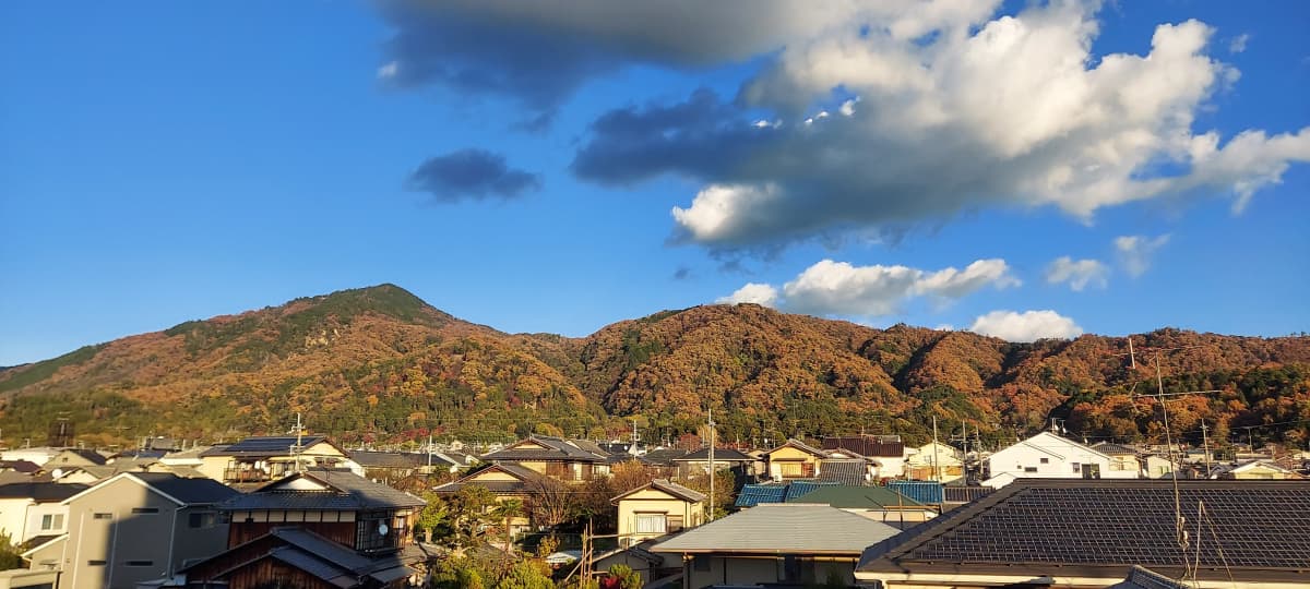 サムネイル画像 6