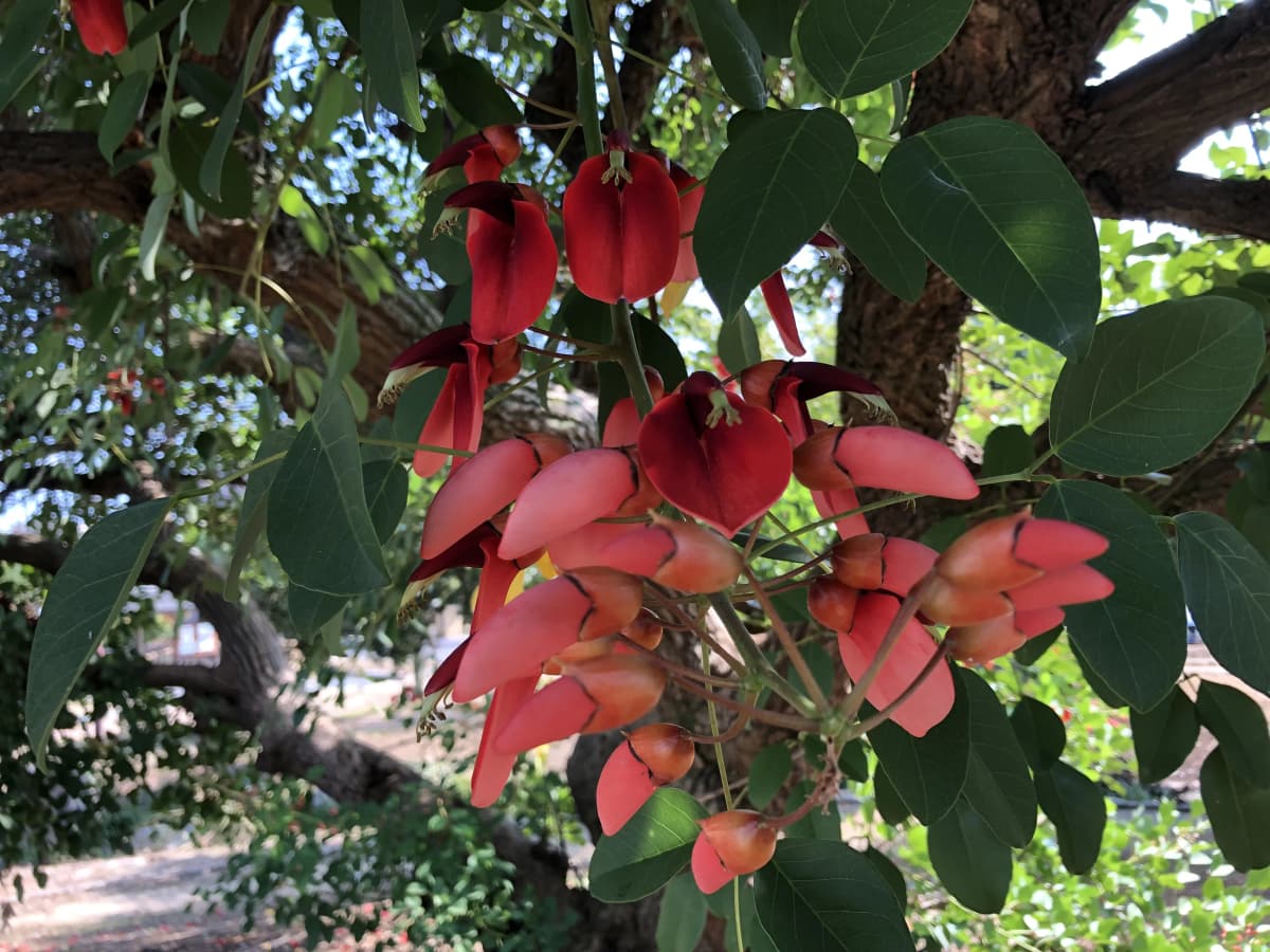 ぴょんぴょん 幼児教室 太田下町教室 画像 24
