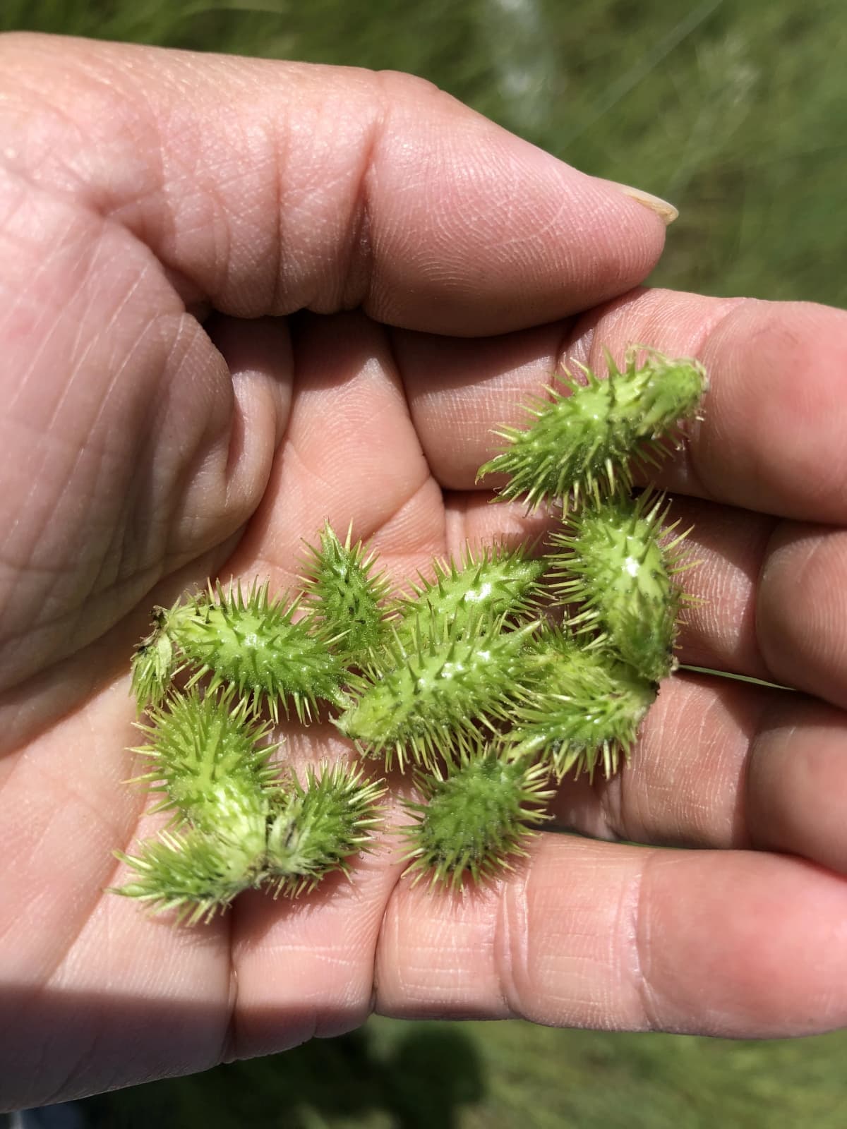 サムネイル画像 3