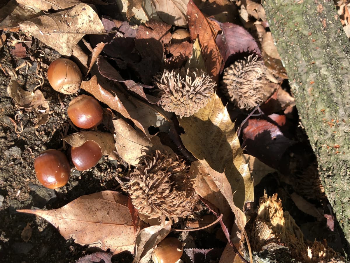 サムネイル画像 4