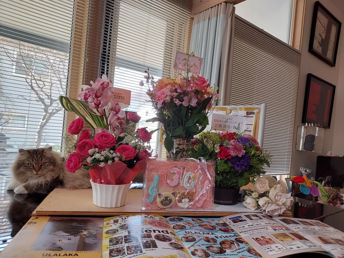 サムネイル画像 4