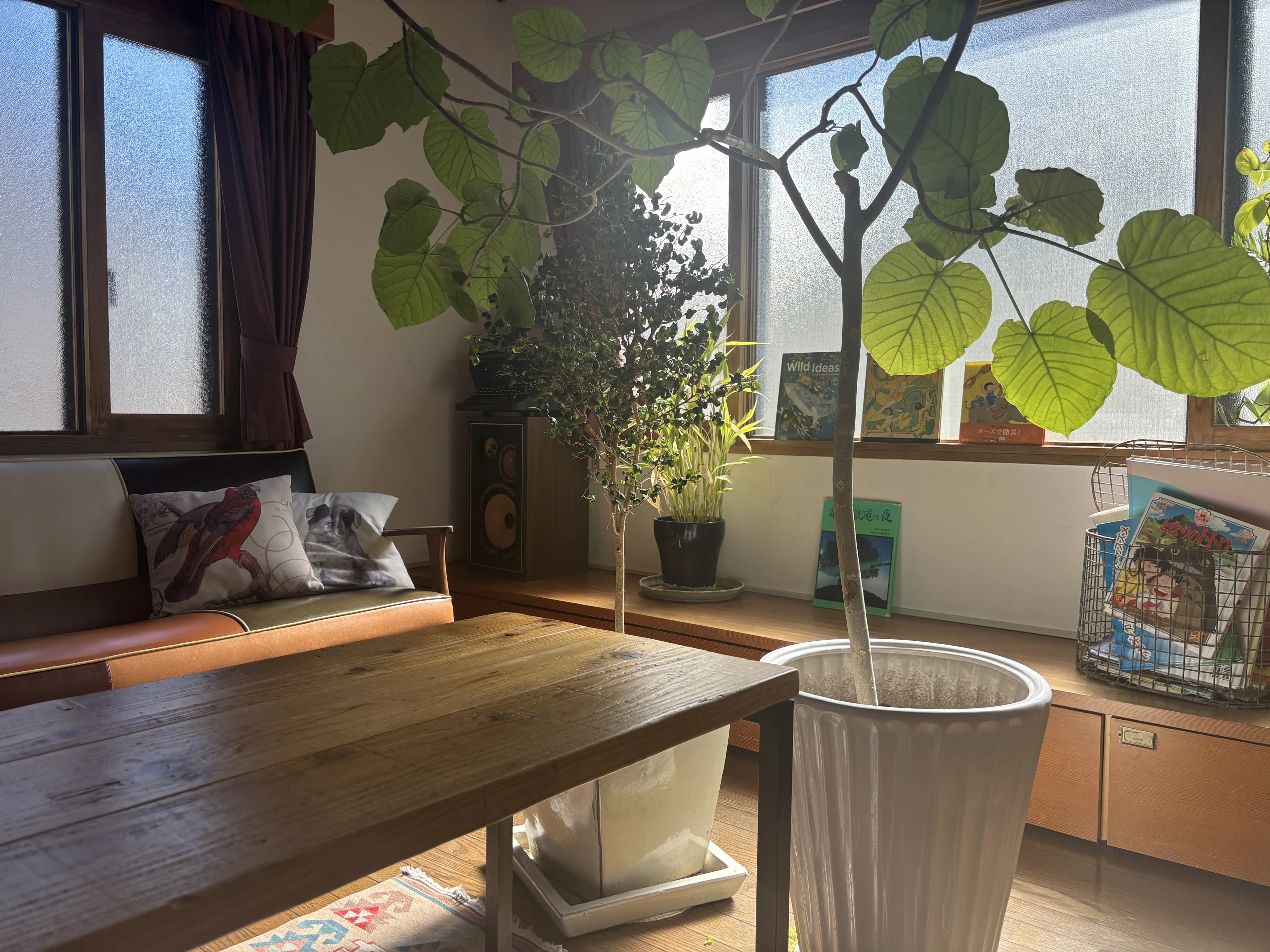 Studio Circus(スタジオサーカス) リトミック 柿の木坂教室のメイン画像