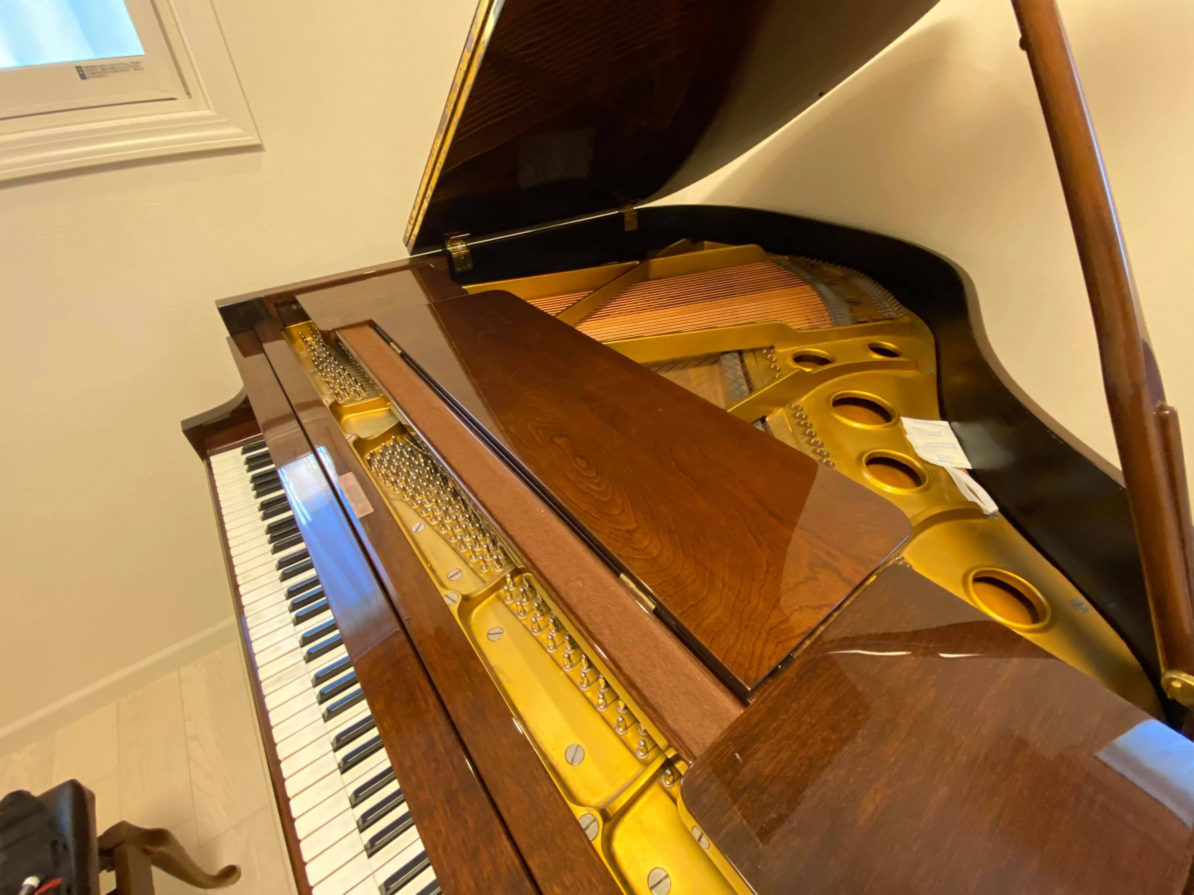 中野坂上みんなの音楽教室 リトミック 本町教室のメイン画像