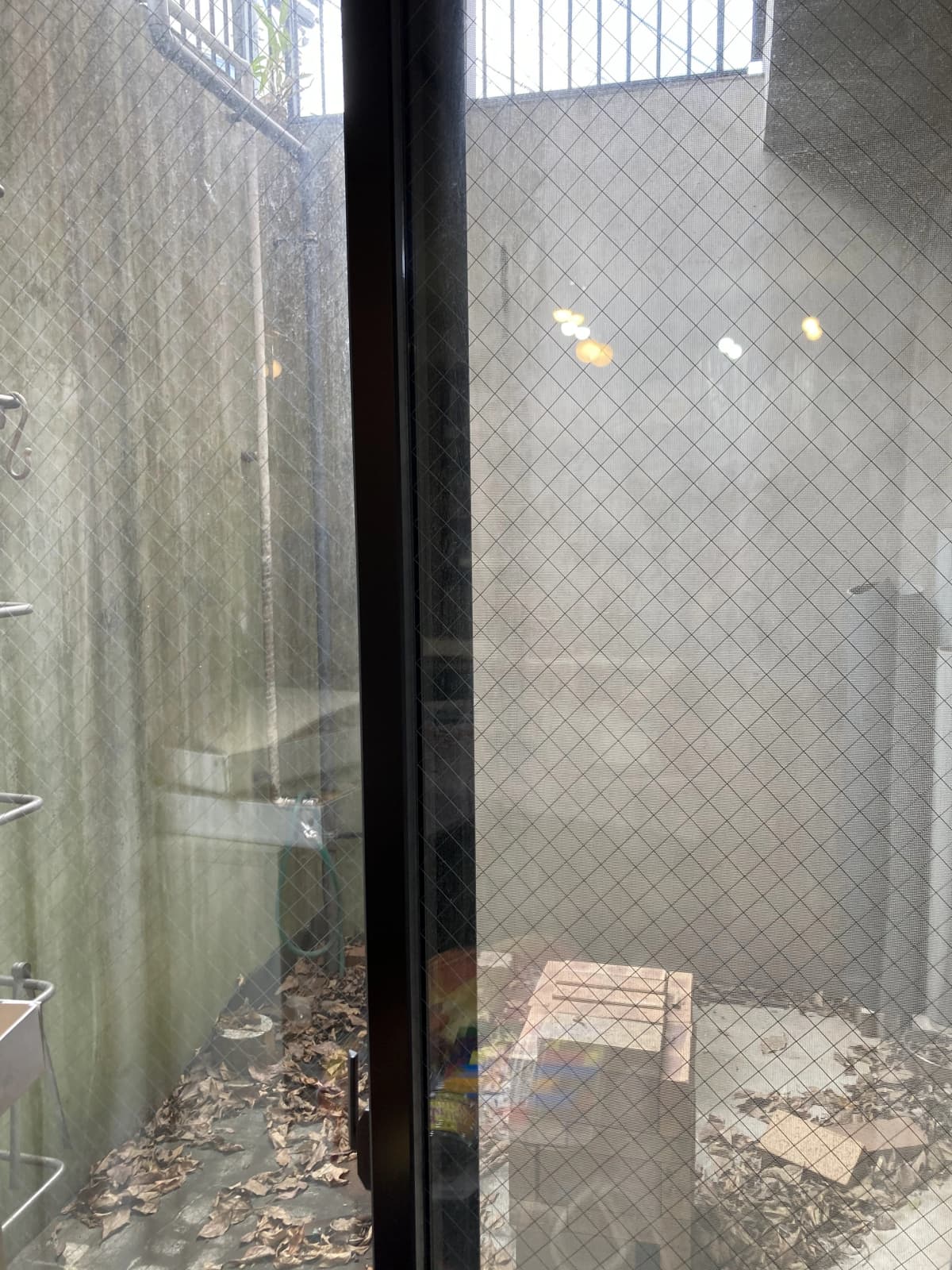 長野よし子ピアノ教室 リトミック 上石神井南町教室 画像 17