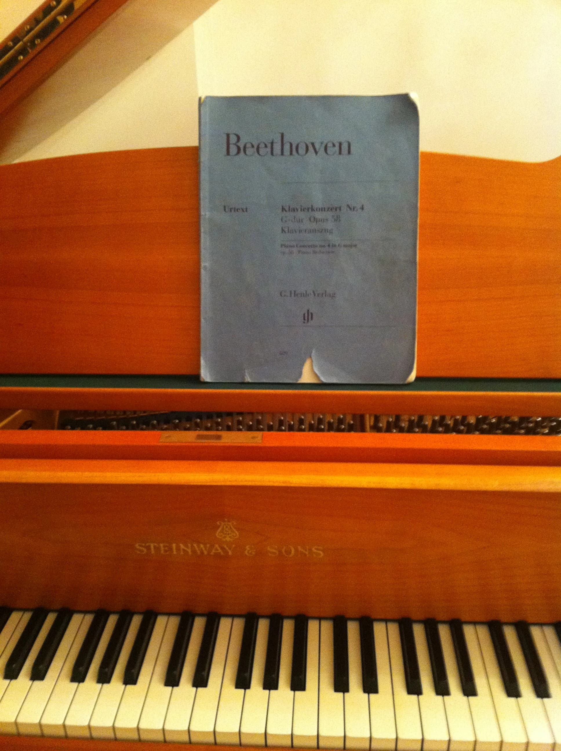 ミュージックアカデミーラファーレ リトミック 北大塚教室のサムネイル画像 2