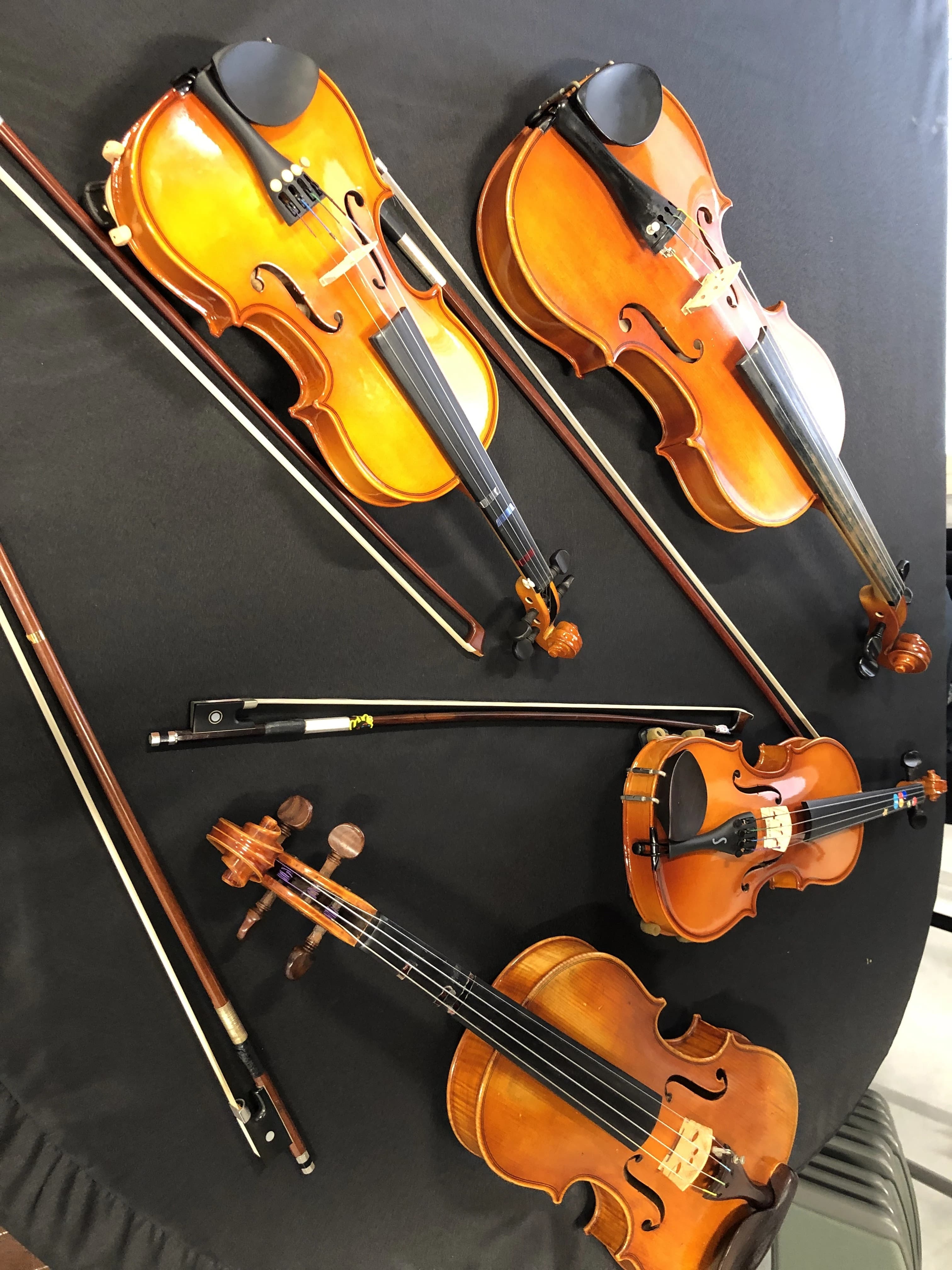 カノン音楽教室 リトミック 綾瀬校のサムネイル画像 4