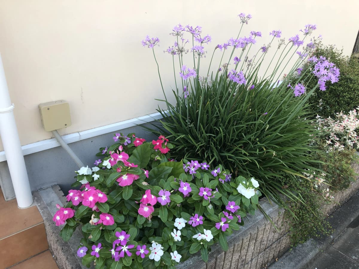 サムネイル画像 3